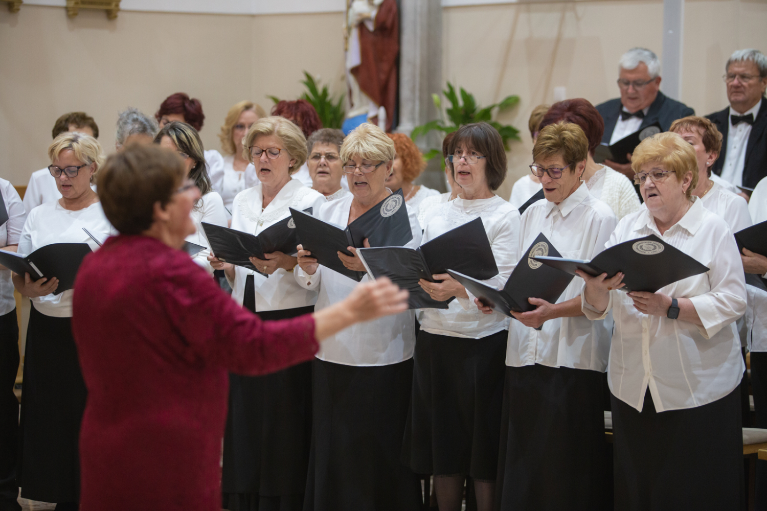 „Az igazság békét teremt!” – Kaposváron is megkezdődött a XVIII. Ars Sacra Fesztivál